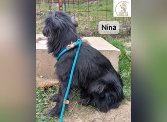 Nina – ein Platz zum Durchatmen gesucht!