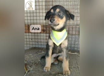 Ana – kleines Mädchen, große Pläne!