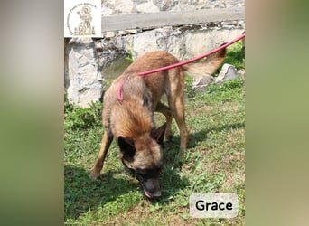 Grace – Köpfchen, Power und definitiv Pfeffer im Hintern!