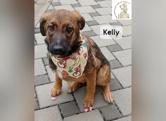 Kelly – Das Leben beginnt dort, wo Neugier auf Vertrauen trifft!