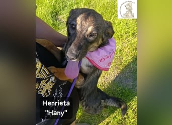Hany – neugierig, frech und unwiderstehlich!