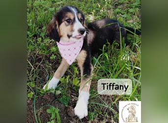 Tiffany – Man ist nie zu klein, um für jemanden die ganze Welt zu sein!
