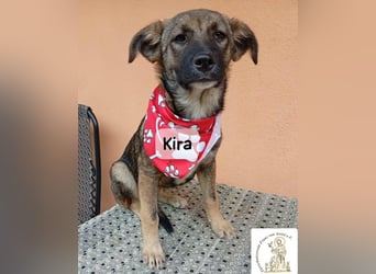 Kira – Warum nicht heute glücklich werden!