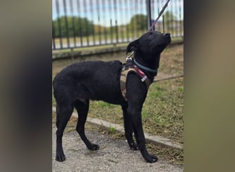 Aron❤️menschenverliebter Jungspund