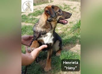 Hany – neugierig, frech und unwiderstehlich!
