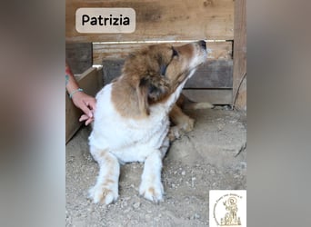 Patrizia – Glück bedeutet manchmal einfach, zusammen zu sein!