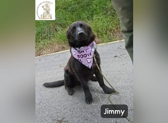Jimmy – Aufgeben? Kam für ihn nie infrage!