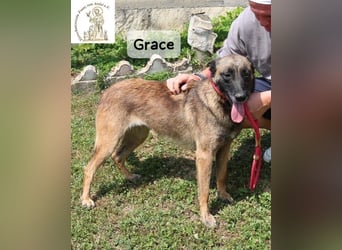 Grace – Köpfchen, Power und definitiv Pfeffer im Hintern!