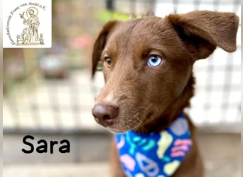 Sara – ein Blick, ein Statement, jede Menge Wow!