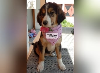 Tiffany – Man ist nie zu klein, um für jemanden die ganze Welt zu sein!