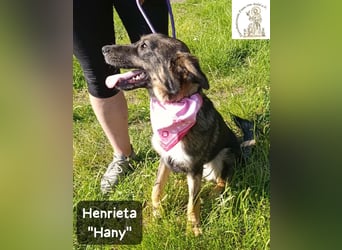 Hany – neugierig, frech und unwiderstehlich!