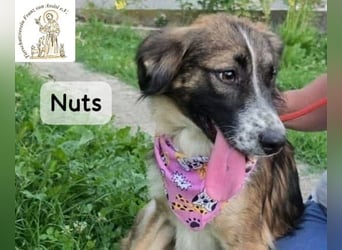 Nuts – manche Seelen tragen ihren Zauber ganz leise!