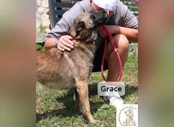 Grace – Köpfchen, Power und definitiv Pfeffer im Hintern!