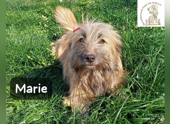 Marie – zu süß für diese Welt, aber kein bisschen aus Zucker!