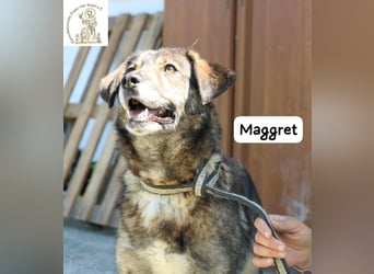 Maggret – ruhig, feinfühlig, zauberhaft und ein bisschen Magie auf vier Pfoten!