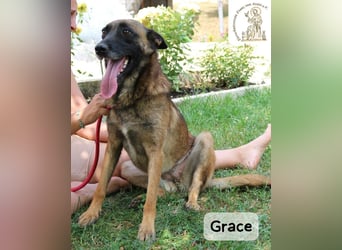 Grace – Köpfchen, Power und definitiv Pfeffer im Hintern!