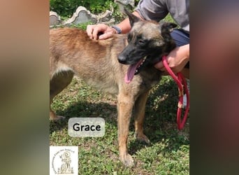 Grace – Köpfchen, Power und definitiv Pfeffer im Hintern!