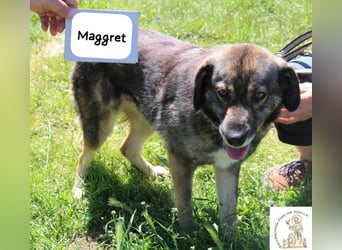 Maggret – ruhig, feinfühlig, zauberhaft und ein bisschen Magie auf vier Pfoten!