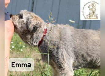 Emma – manche Herzen werden einfach nie alt!