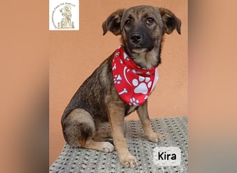 Kira – Warum nicht heute glücklich werden!