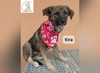 Kira – Warum nicht heute glücklich werden!