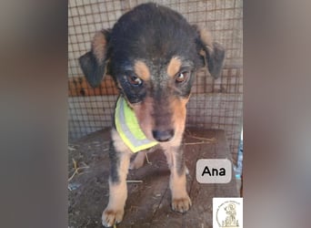 Ana – kleines Mädchen, große Pläne!