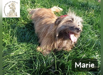 Marie – zu süß für diese Welt, aber kein bisschen aus Zucker!