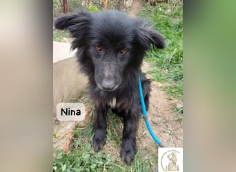 Nina – ein Platz zum Durchatmen gesucht!