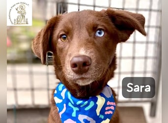 Sara – ein Blick, ein Statement, jede Menge Wow!