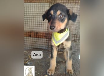 Ana – kleines Mädchen, große Pläne!