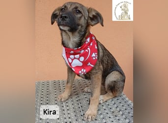 Kira – Warum nicht heute glücklich werden!
