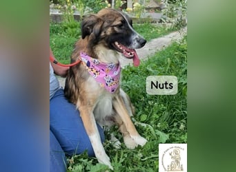 Nuts – manche Seelen tragen ihren Zauber ganz leise!