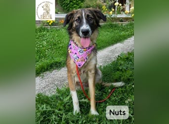 Nuts – manche Seelen tragen ihren Zauber ganz leise!