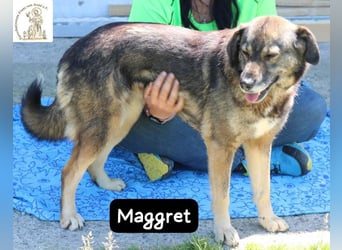 Maggret – ruhig, feinfühlig, zauberhaft und ein bisschen Magie auf vier Pfoten!