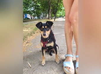 Süße Emily wünscht sich ein Für-immer-Zuhause