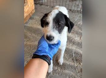 Jonas sucht sein Abenteuer