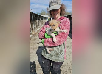 Karl möchte dem Shelter entkommen