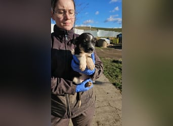 Latara sucht ihr zu Hause