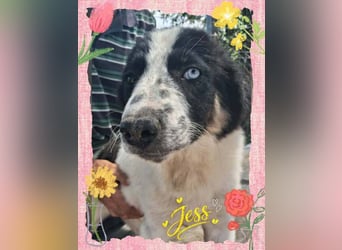 Jess möchte eine Familie