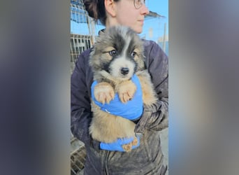 Logray möchte ankommen