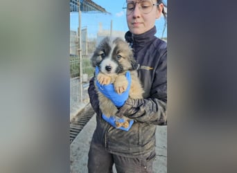 Logray möchte ankommen