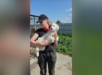 Cleo ist bereit für Abenteuer