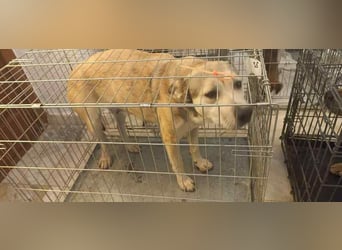 Assal sucht ihre Menschen