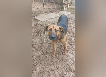 Tobi sucht endlich seine Menschen