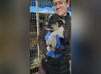 Latara sucht ihr zu Hause