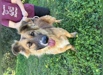 kleiner Zwerg Dennis sucht warmes Körbchen