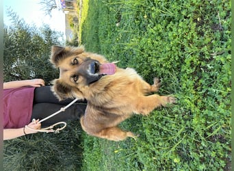 kleiner Zwerg Dennis sucht warmes Körbchen