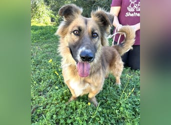 kleiner Zwerg Dennis sucht warmes Körbchen