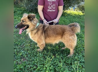 kleiner Zwerg Dennis sucht warmes Körbchen