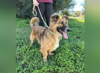 kleiner Zwerg Dennis sucht warmes Körbchen